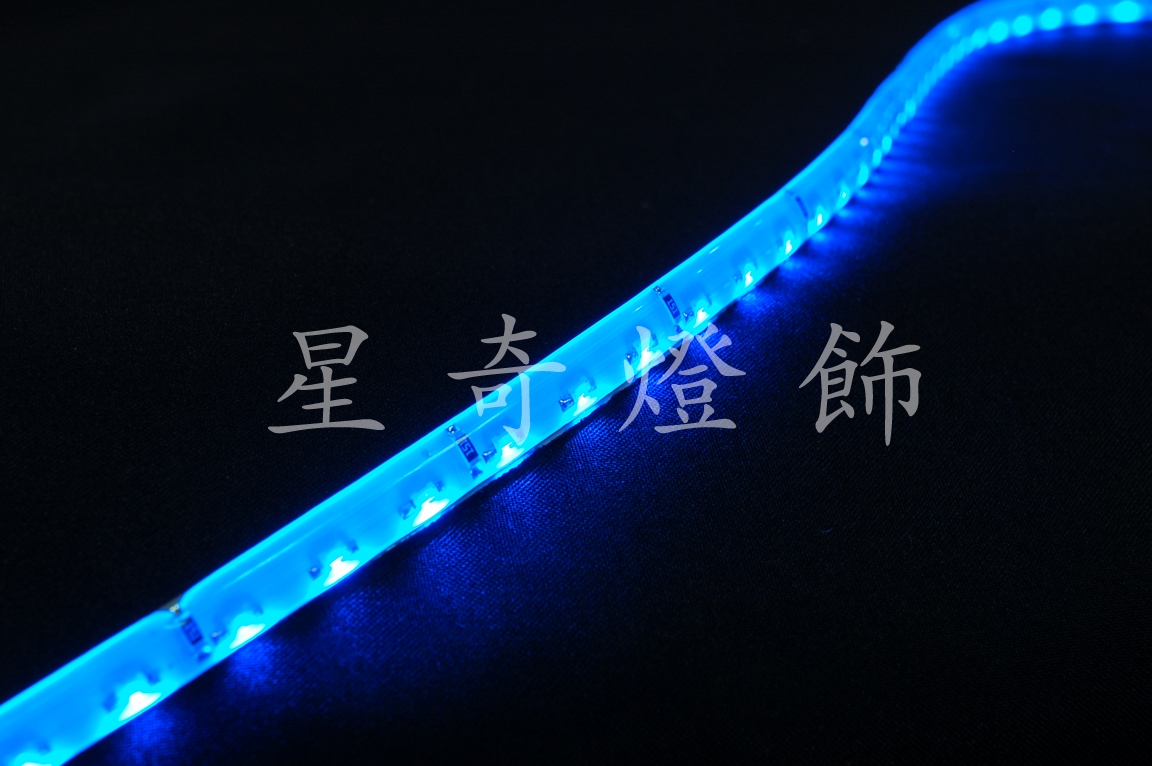 LED60燈軟條燈-藍光-12V