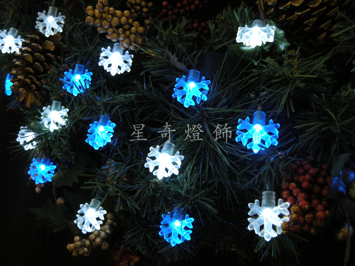 LED50燈聖誕造型燈-雪花藍 110V