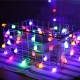 LED 100燈珍珠燈-彩光-110V (附IC控制器)-透明線