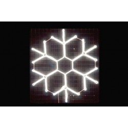 LED 中雪花-白光 110V (柔性管燈)