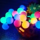 LED 100燈珍珠彩燈 110V (附IC控制器)