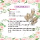 DIY花材-仿真花材-金色大鳳尾五叉