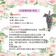 聖誕裝飾-大葡萄球插-銀色