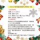 28公分金蔥簍空雪花吊飾片-銀