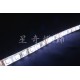 LED 60燈軟條燈 5050 白光 12V