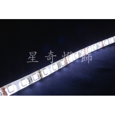 LED 60燈軟條燈 5050 白光 12V