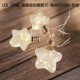 LED 100燈星星造型銅線電池式+USB 暖光
